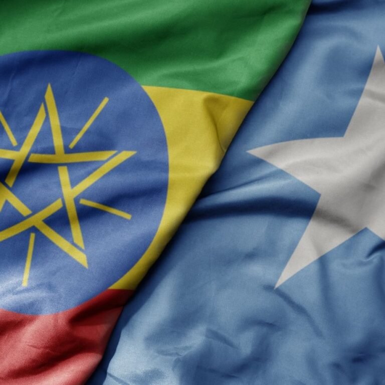 Somalia and Ethiopia commit to renewed partnership after a year-long rift