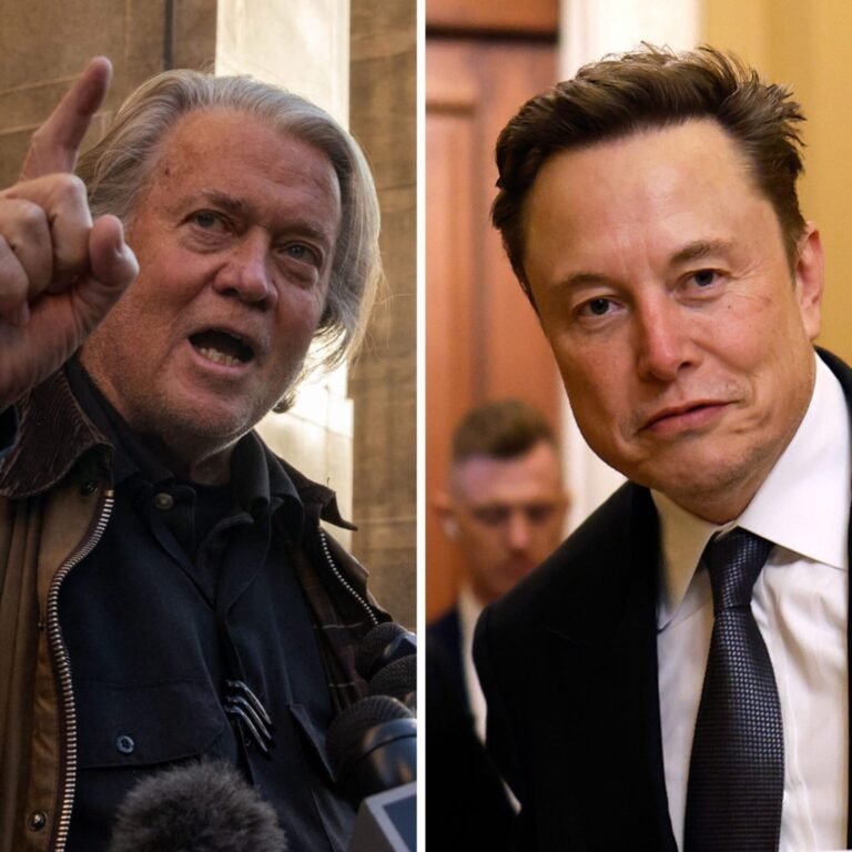 Steve Bannon Criticizes Elon Musk