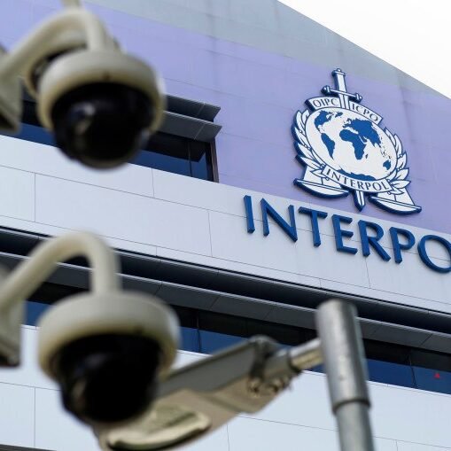 INTERPOL raid across 8 African countries captures 37 suspected terrorists