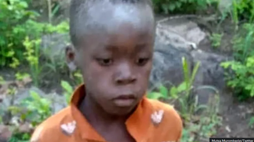 8-year-old boy survives 5 days in the wild amongst lions and other dangerous animals