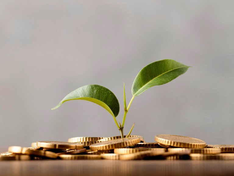 SME banking: 10 banks in Nigeria, Ghana shine in 2024 customer survey report