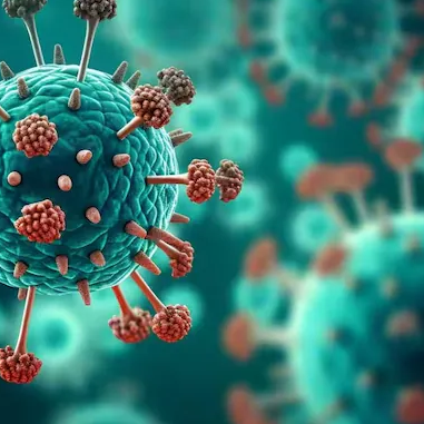 9 African countries issue statements as continent prepares to tackle the HMPV outbreak