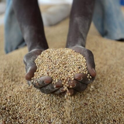 Top 5 largest Russian food markets in Africa and their recent value change