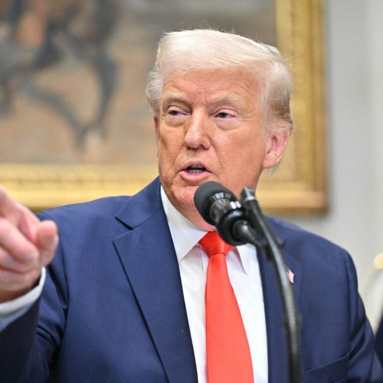 Trump offers ‘rapid pathway’ to US citizenship for displaced South African farmers