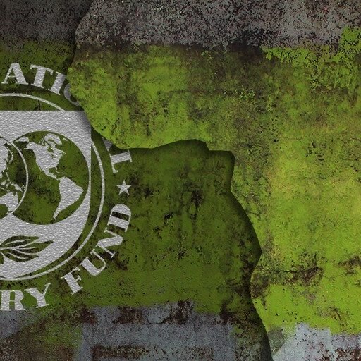 Top 10 African countries with the lowest debt to the IMF in March 2025