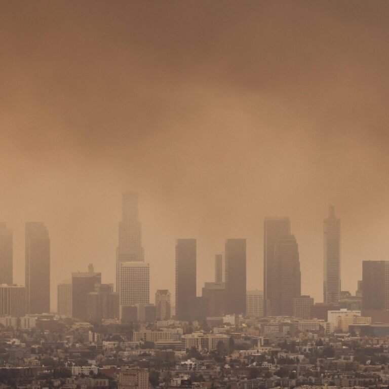 The 7 countries who met WHO air quality standards in 2024