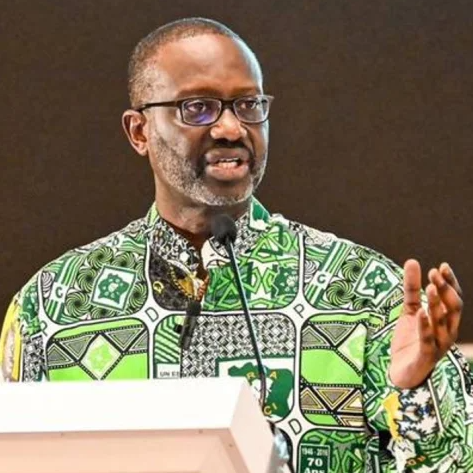 Ivory Coast court blocks top presidential candidate over French links