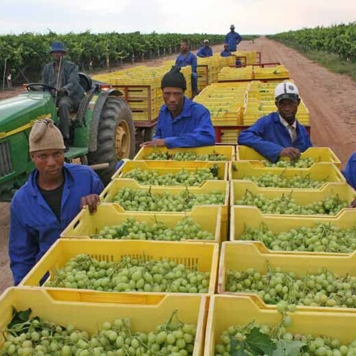 Tanzania bans imports from Malawi and South Africa as trade tensions rise