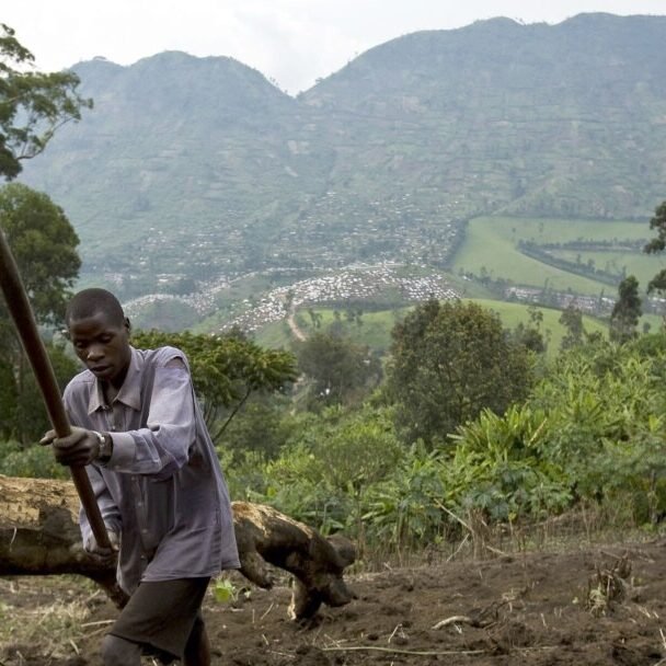 Farmers return to Congo farmland amid uncertain realities