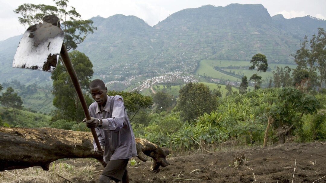 Farmers return to Congo farmland amid uncertain realities
