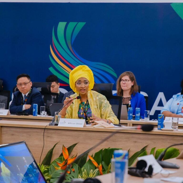 France injects €100 million support into Nigeria’s creative economy