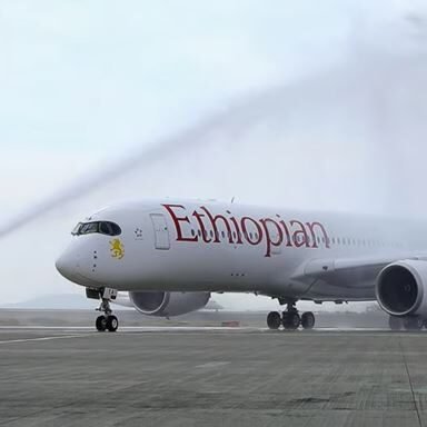 Top 5 African countries with the largest national carrier fleets