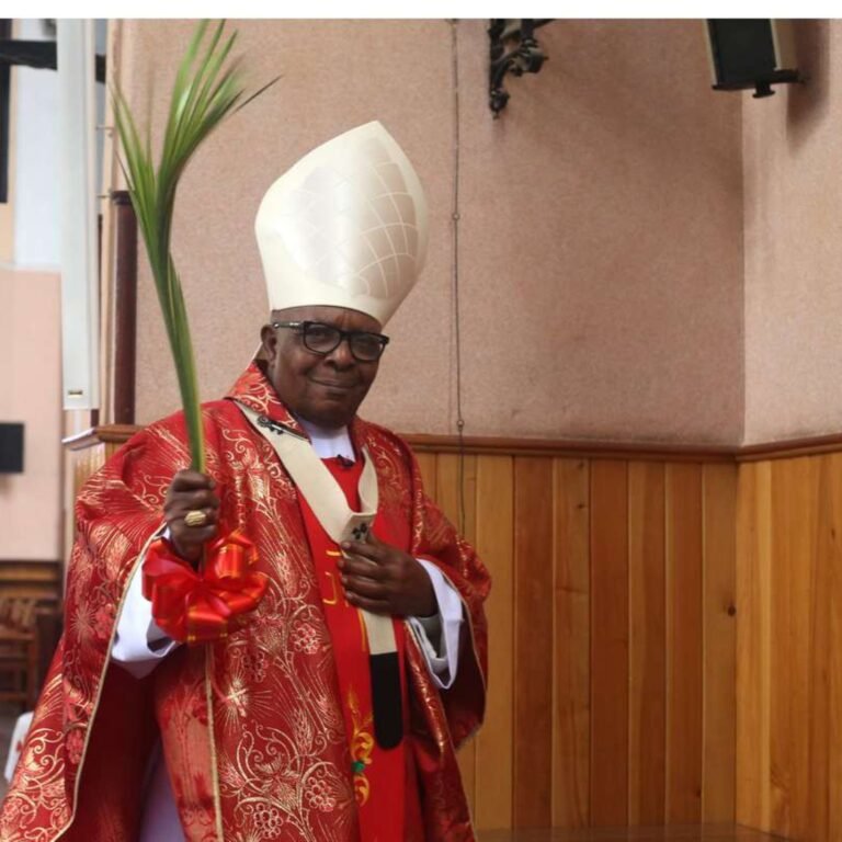 Next pope: Why a leading African cardinal might not participate in papal election