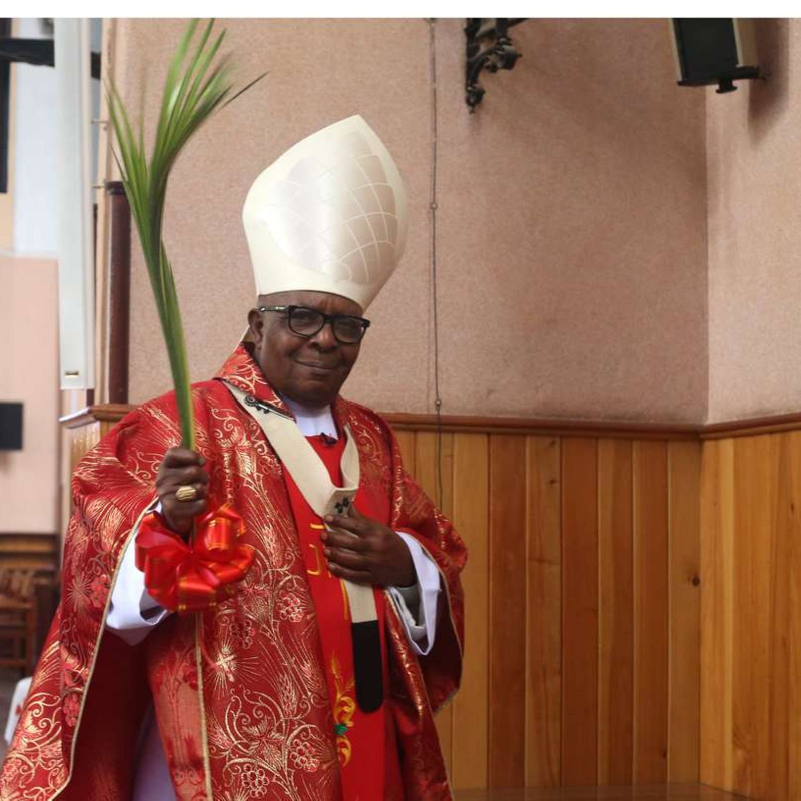 Next pope: Why a leading African cardinal might not participate in papal election