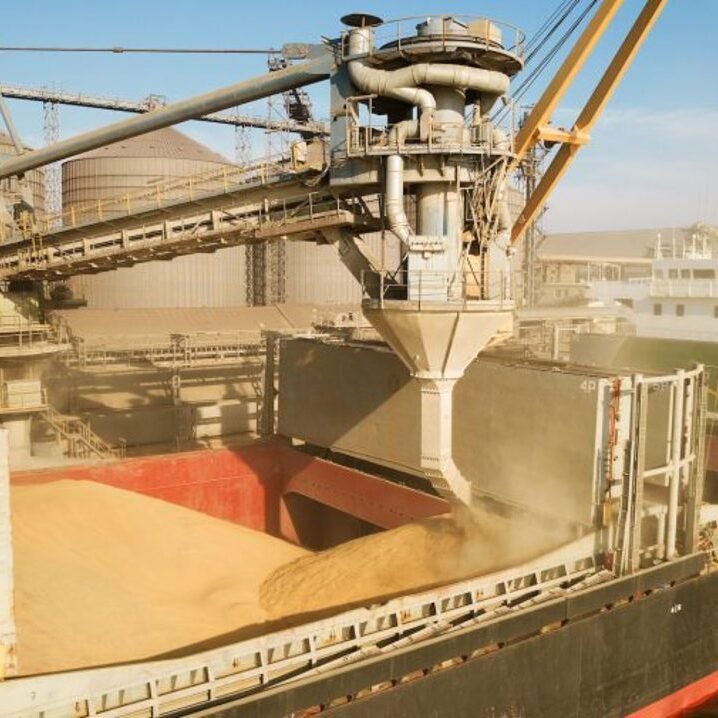 Russia sets global export record with massive grain shipments to North Africa