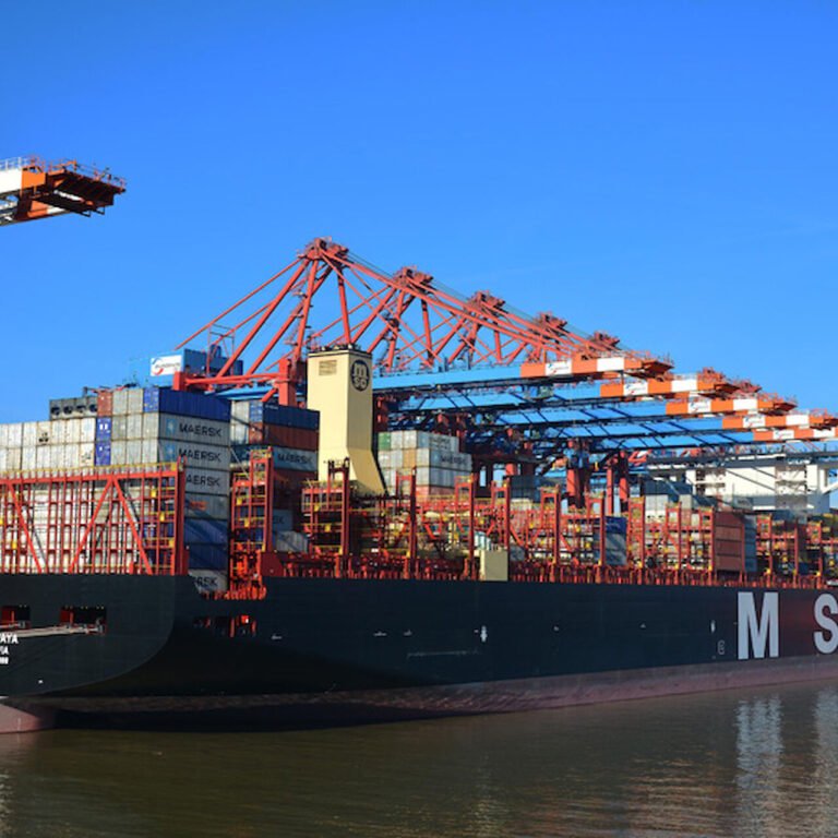 Historic moment as South African port hosts the largest-ever container ship