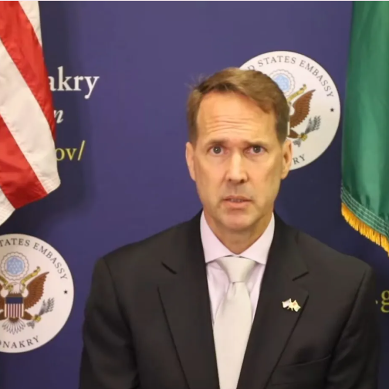 Head of Trump’s U.S.-Africa policy at the State Department set to step down