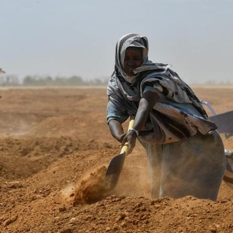 Sands and thunderstorms induced by African heat set to hit Europe