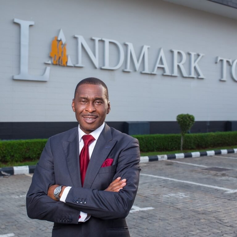 Exclusive: Nigeria has opportunities but one thing scares investors – CEO Landmark Onwuanibe