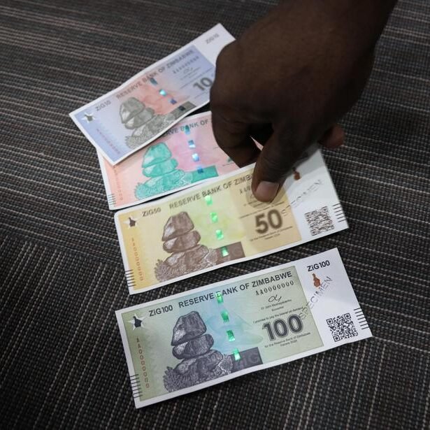 Gold and forex reserves supporting Zimbabwe’s ZiG hit all-time high