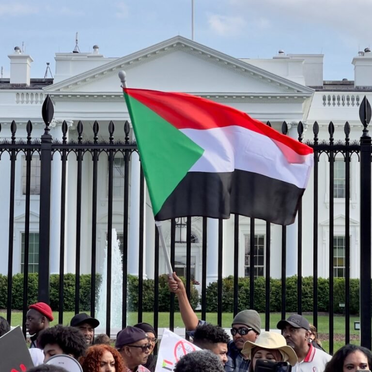 US drives Sudan peace plan with backing from Egypt and Gulf partners