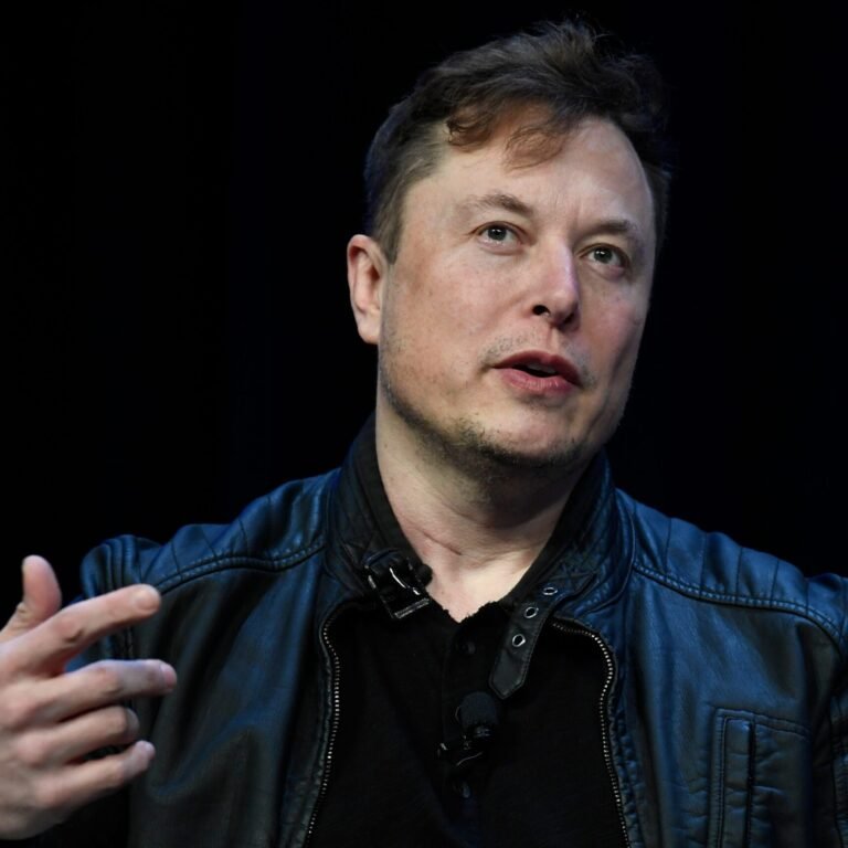 Officials in South Africa are torn by the decision to make Elon Musk’s company legal