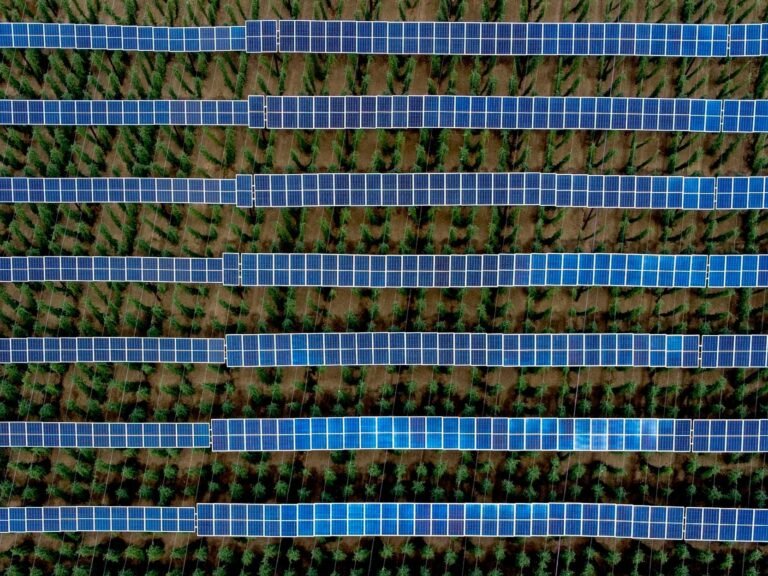 Morocco secures funding, signs power deals for 305MW Noor Atlas solar programme