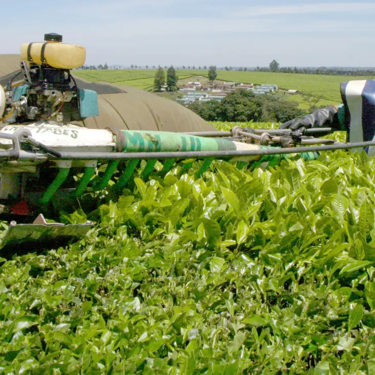 12 Agtech startups in Africa that have raised over $50 million in funding (2016-2025)