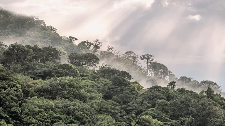5 commercial African cities with the lowest climate index