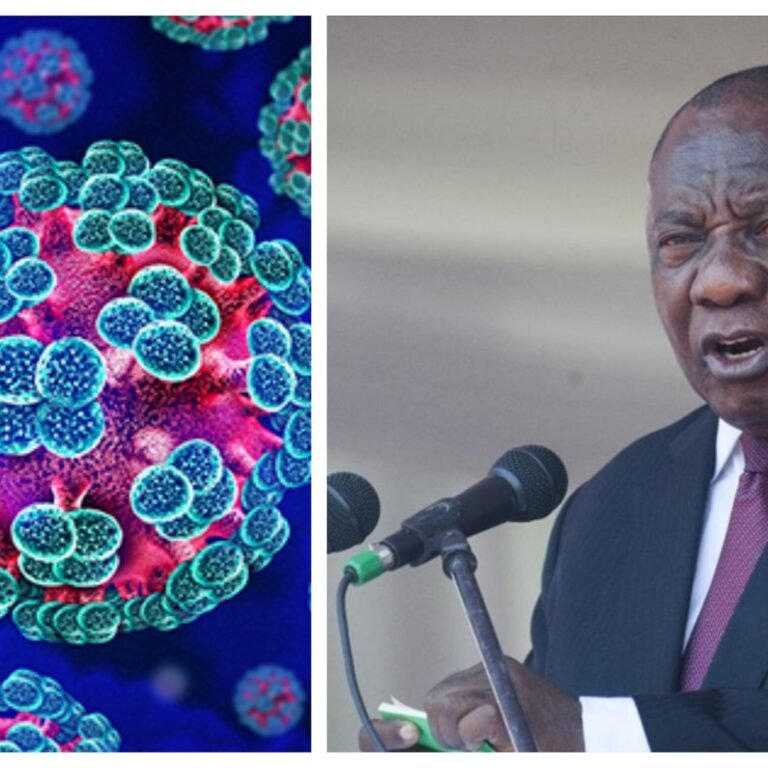 South Africa secures Europe-backed $90 million vaccine plant deal amid hantavirus outbreak fears, 7,000 jobs expected
