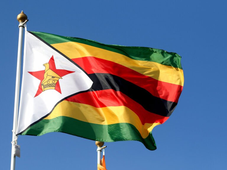 How UAE became Zimbabwe’s top customer, buying half of everything it exports