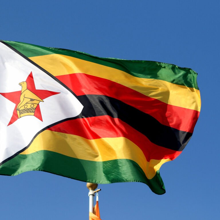 How UAE became Zimbabwe’s top customer, buying half of everything it exports