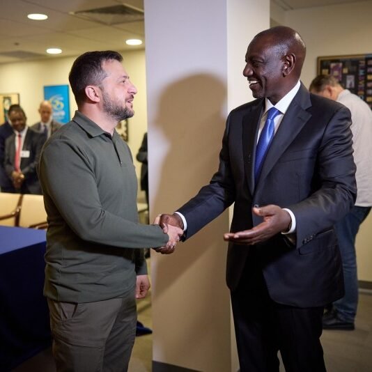 Kyiv deploys ‘Grain from Ukraine’ diplomacy and tech transfers to secure long-term economic footprints in major African markets
