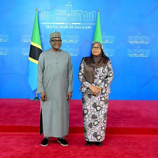 Africa’s richest man picks Tanzania for next wave of power, fertiliser and transport investments