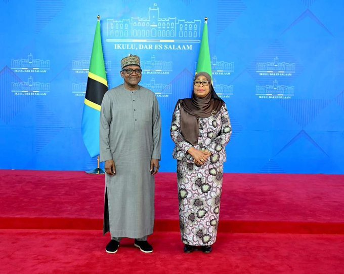 Africa’s richest man picks Tanzania for next wave of power, fertiliser and transport investments