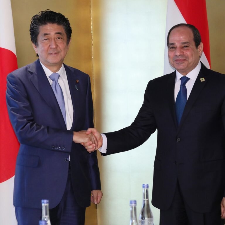 Africa’s second-largest economy and Japan discuss expanding ties through a critical area of the economy