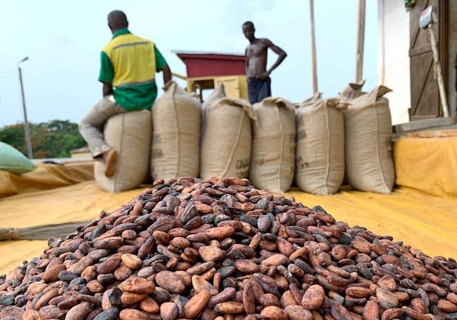 The world’s second-largest cocoa producer is facing a cash crunch as Ghana’s cocoa regulator raises $288 million to keep farmers selling