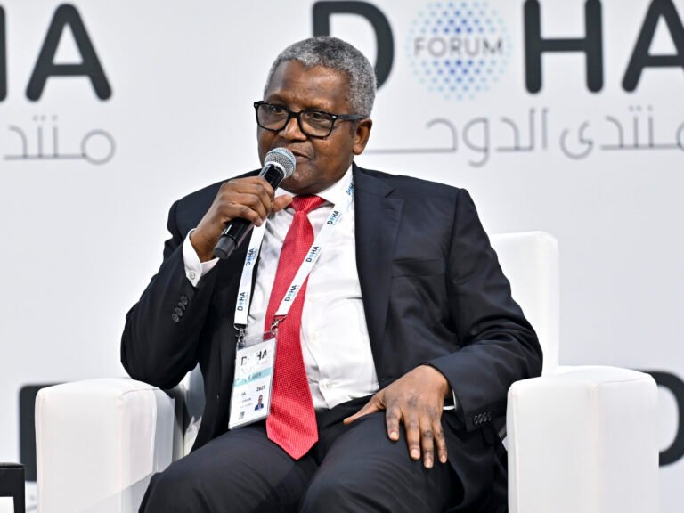 Africa’s richest man expresses confidence in reaching his $100 billion goal, as he promises that Egypt will be a part of his $50 billion expansion plan